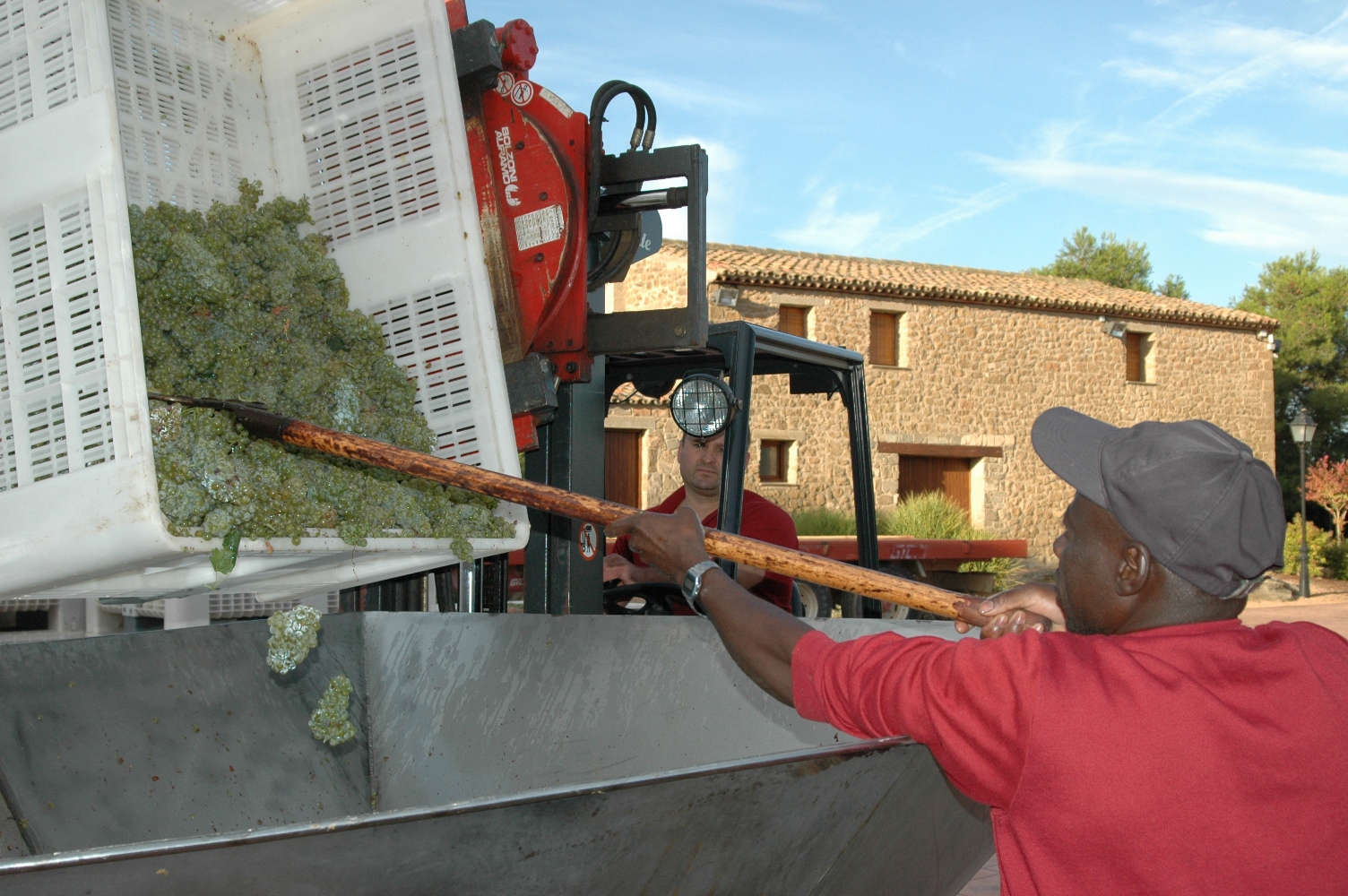 harvesting-chardonnay-2017-costers-del-sio