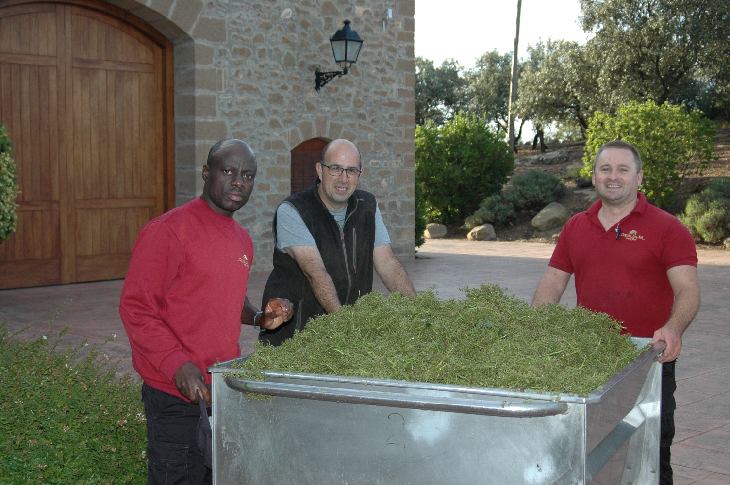 harvest-chardonnay-2017-costers-del-sio-wines