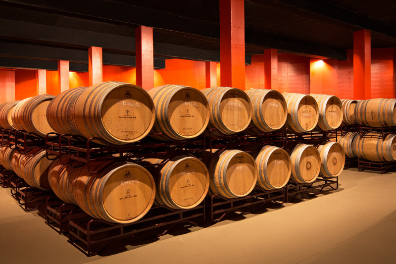Visit Winery Costers del Sió | Siós Tour