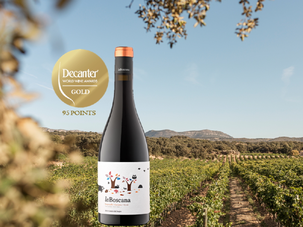 Decanter World Wine Awards 2020: Gold for our red La Boscana