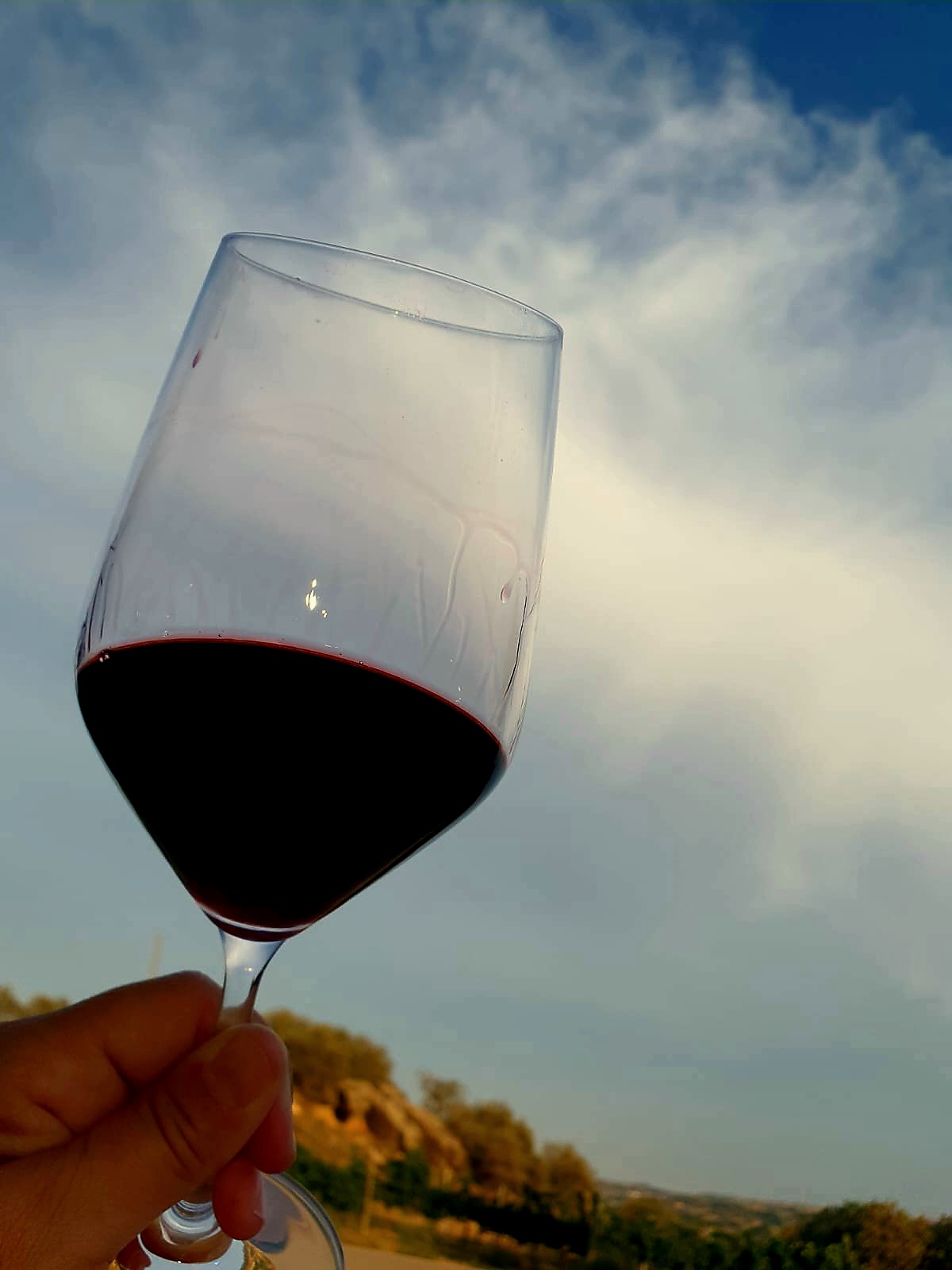 Llàgrima del vi | Costers del Sió