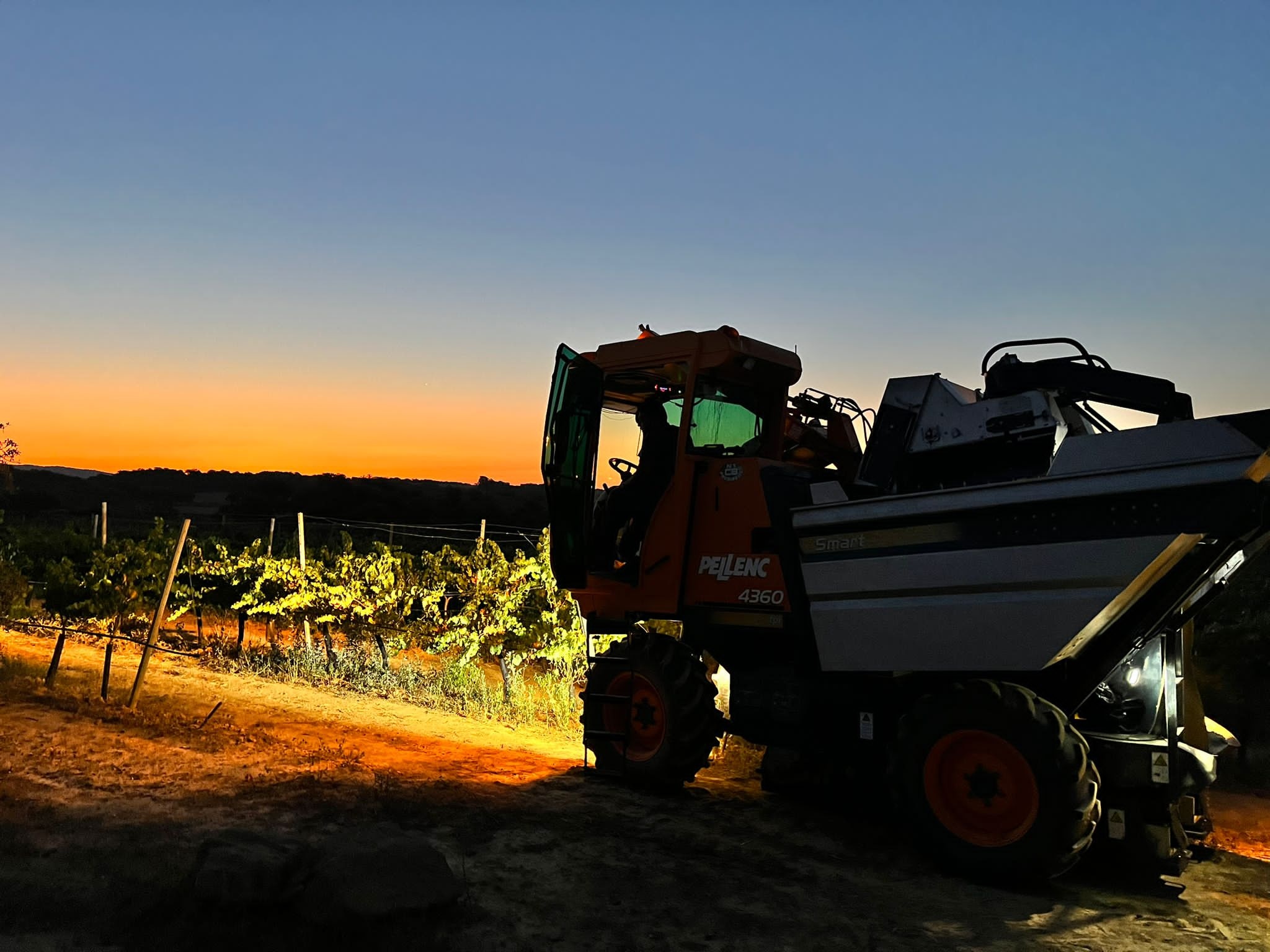 Harvest 2023 at Costers del Sió Winery