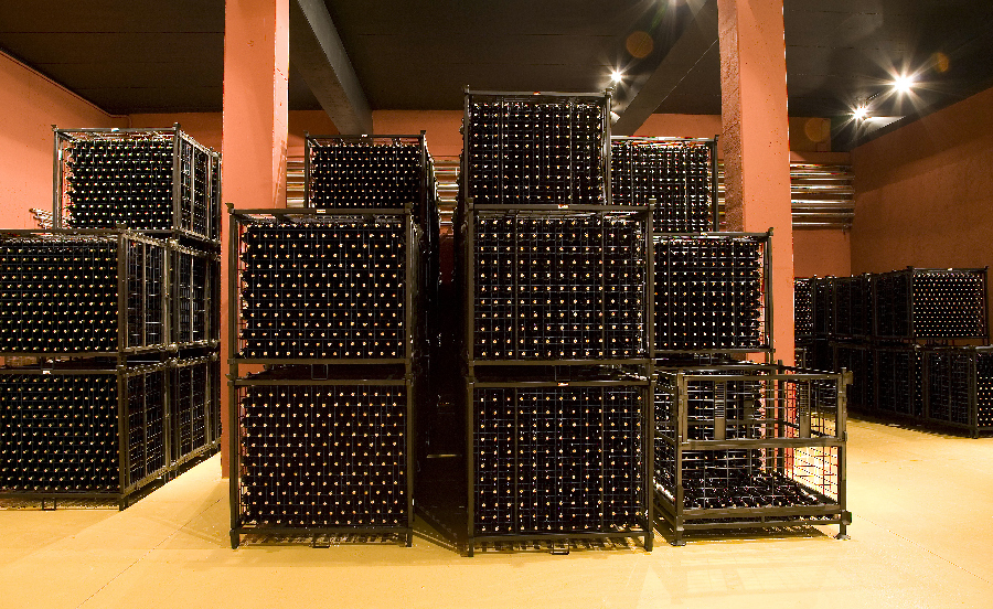 Bottlers in the cellar | Costers del Sió Winery