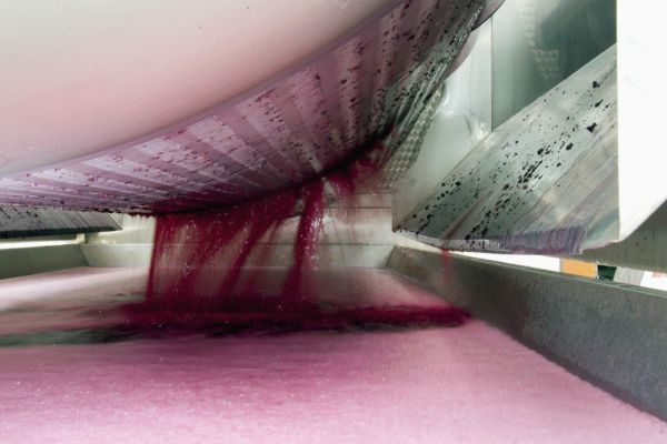 Pressing Wine making process | Costers del Sió winery