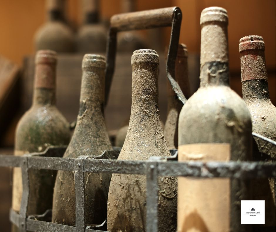 Ampolles de vi antigues