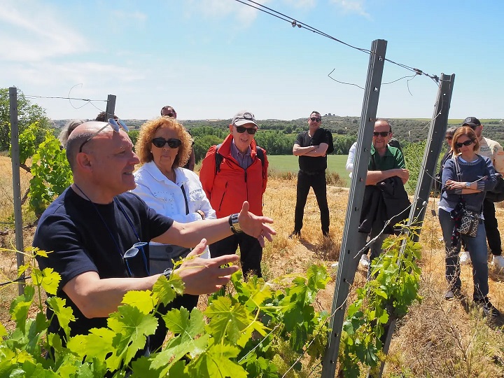 Visitar Bodegas Costers del Sió | Siós Experience