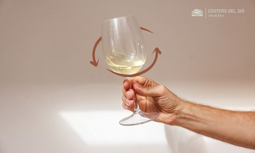 Orbital shaking of the wine glass