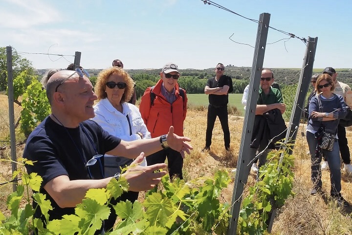 Visit Costers del Sió Wineries | Siós Experience