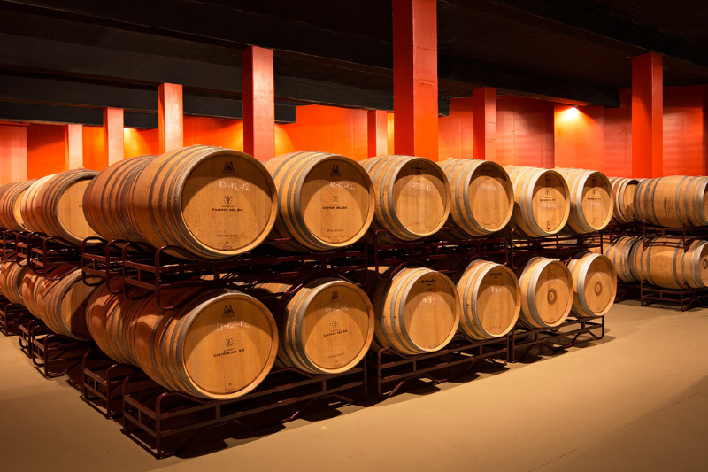 Visit Costers del Sió Wineries | Sios Tour